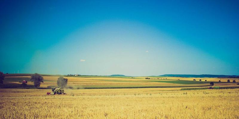 IPv6迁移全攻略:企业网络升级的挑战、策略与实用工具