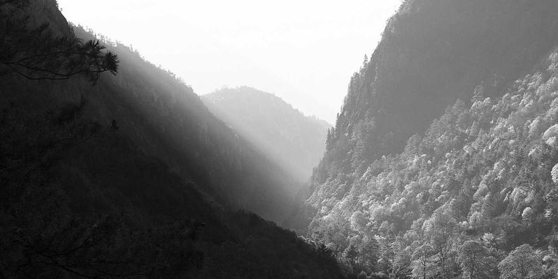 从Spine-Leaf到可编程网络：数据中心架构演进与性能优化实战