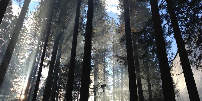 数字孪生赋能网络运维:基于GNS3/EVE-NG的大规模拓扑建模与故障预演实战指南